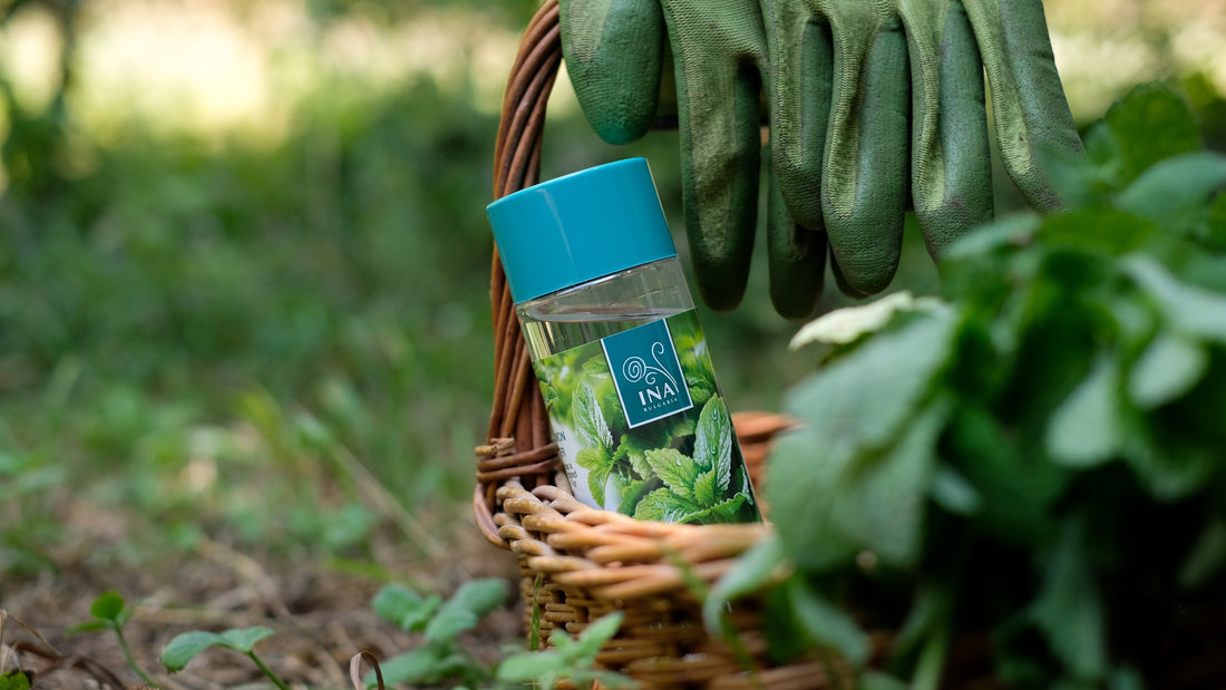 Zašto vam je potreban matičnjak za savršenu njegu nakon sunca?