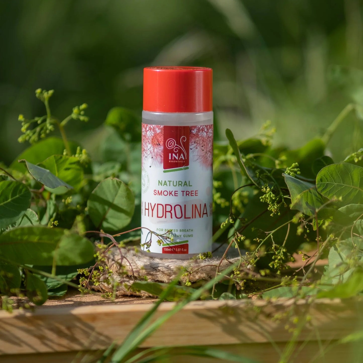 Organski Hidrolat - Hydrolina rujevine (150ml)