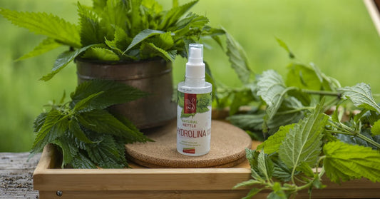 Divlja kopriva Urtica dioica i Organski hidrolat divlje koprive Hydrolina