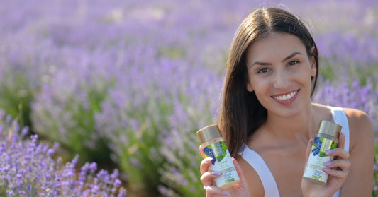 Lavanda Lavandula angustifolia i Hydrobiotic Lavanda & Metvica u polju lavande