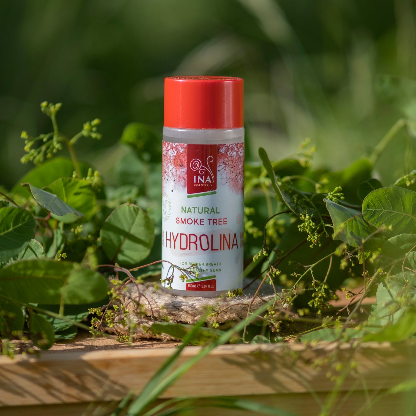 Organski Hidrolat - Hydrolina rujevine (150ml)