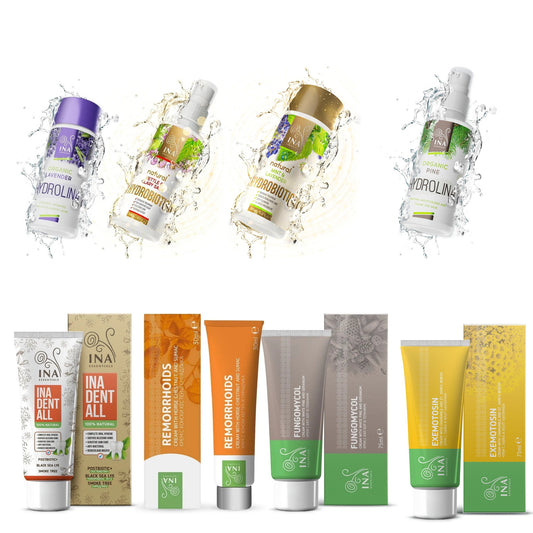 B2B Paket Top 8 Najprodavanijih InaEssentials